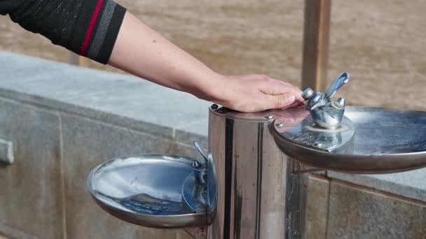 一只手按了一下饮水机上的按钮 然后视线从手上向下移动 显示水流入一只装狗的碗里 这个饮水机是用贵重金属制造的 — 图库视频影像