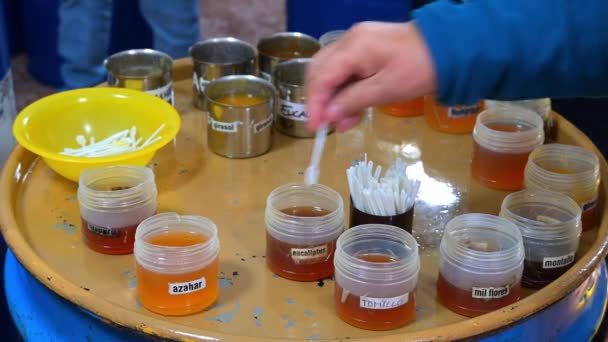 Callosa Den Sarri Alicante Spanien 2023 Provning Olika Typer Honung — Stockvideo