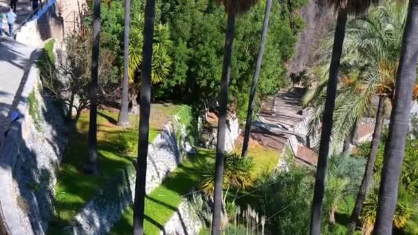 カステル グラデスト アリカンテ スペイン 2023 背の高いヤシの木が並ぶ景色の庭の上から上に広がり 山の上のチャペルを眺める — ストック動画