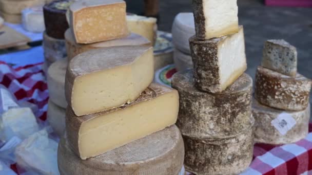 Denia Alicante Spanya 2023 Çeşitli Peynir Türleri Bazıları Dilimlenmiş Kırmızı — Stok video