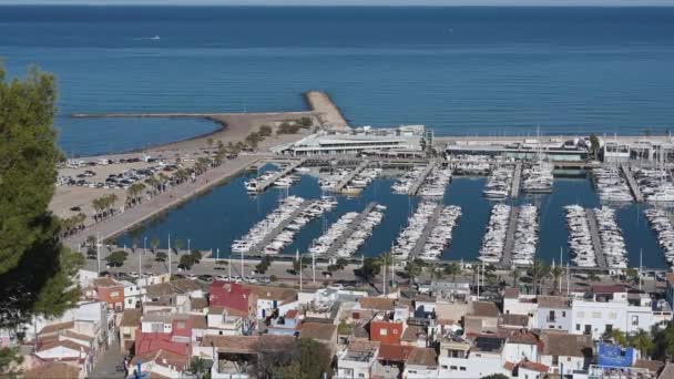 Денія Аліканте Іспанія 2023 Панорама Приватної Гавані Денії Різноманітними Приватними — стокове відео