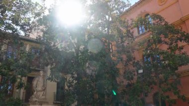 Granada, Granada - İspanya 02-03-2024: Granada 'da evlerle çevrili yemyeşil bir avlu..