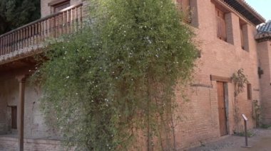 Granada, Granada - İspanya - 01-27-2024: Alhambra 'daki El Partal binası boyunca bir tava, kırmızı taştan yapılmış, yapının bir köşesinde asılı yeşil bir fabrika var..