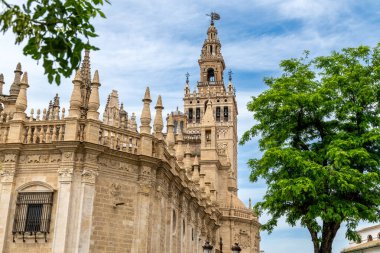 Beyaz bir masa örtüsü, beyaz tabaklar, çatal bıçak takımı ve rulo peçete ile kaplı bir masanın üzerinde şık bir masa düzenlenir.