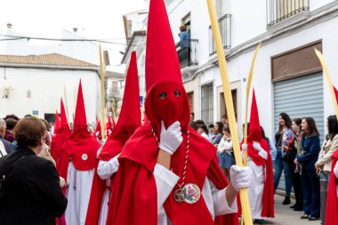 Castro del Rio, Cordoba - İspanya - 03-24-2024: Kırmızı başlıklı cüppeli katılımcılar kalabalık bir caddede İspanyol dini Paskalya alayı sırasında uzun palmiye yaprakları taşıyorlar.