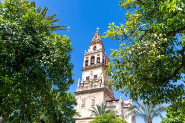 Cordoba, Cordoba - İspanya - 04-08-2024: Mezquita-Katedral çan kulesinin mavi gökyüzüne karşı yeşil yapraklarla çerçevelenmiş yakın görüntüsü.
