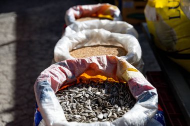 Guadix, Granada - İspanya - 01-24-2024: Ayçiçeği tohumları ve diğer tahıllarla dolu büyük poşetlere yakın çekim.