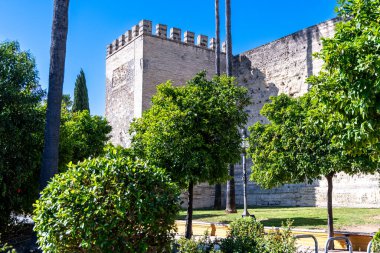 Jerez de la Frontera 'nın Alcazar' ında yemyeşil bahçeler ve canlı portakal ağaçlarıyla çevrili bir duvar vardır..