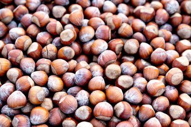 Close-up of a collection of hazelnuts in their natural brown shell; evenly spread and visible in fine texture. clipart