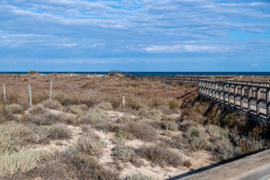 Kuru çalıları ile geniş bir kumul manzarası deniz ufkuna kadar uzanır, kıyıya doğru kıvrılan bir sahil yürüyüşü içerir..