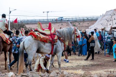 Agadir, Souss-Massa - Fas - 08-03-2024: Kırmızı eyerli ve geleneksel süslemeleri olan bir Berber atı, geleneksel ve modern kıyafetleri olan insanlarla çevrili yoğun bir alanda duruyor.