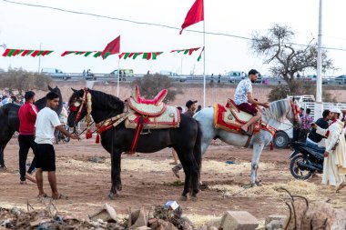 Agadir, Souss-Massa - Fas - 08-03-2024: Erkekler, biri siyah at taşıyan, diğeri kırmızı ve bej eyerli beyaz ata binen etkinlik için süslü atlar hazırlıyor.