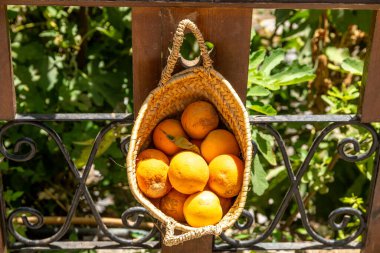 A woven basket full of bright, ripe oranges hanging on an iron railing, surrounded by green leaves, and soft natural light enhances the scen clipart