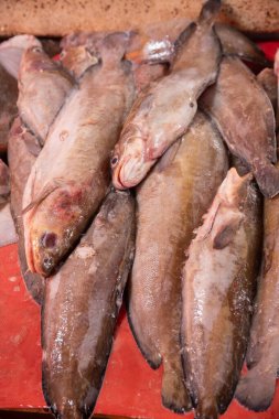 Freshly caught fish lie closely on a red surface, their shiny bodies show water droplets, with partially open eyes and textured background. clipart