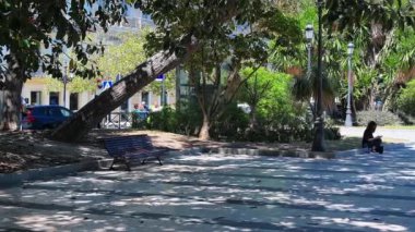 Cadiz, Cadiz - İspanya - 05-07-2024: Taş kaldırımları, ağaçlar, banklar, limanı gösteren bir heykel, yakınlardan geçen sanat eserleri, fenerler ve arabalarla dolu bir şehir parkının üzerinde durmak.
