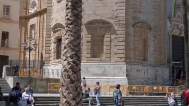 Cadiz, Cadiz - İspanya - 05-07-2024: Cadiz Katedrali 'nin aydınlık taş cephesini süslü sütunları, çanları, insanları ve görünen bir palmiye ağacıyla çan kulesine yükseltin.