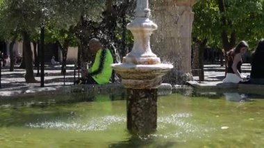 Cordoba, Cordoba - İspanya - 04-09-2024: Mezquita avlusundaki güneşli çeşme, ziyaretçilerle dolu su havzasından altın fener şekilli tepeye, arka planda zeytin ağaçları.