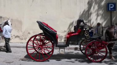 Cordoba, Cordoba - İspanya - 04-09-2024: Ağaçların altında tarihi bir duvarın yanında bekleyen at ve arabaların üzerinden sağa sola dönün; kahverengi ve beyaz atlar kaldırım taşı bir sokakta..