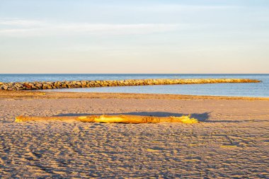 A large driftwood log lies on a sandy beach near a calm ocean, with a stone breakwater extending into the water under a clear blue sky in the evening sun. clipart