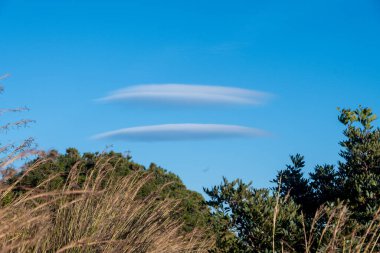 Two elongated lenticular clouds hover above green vegetation under a vibrant blue sky, forming a striking contrast with the natural scenery. clipart