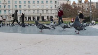 Barselona, Katalonya - İspanya - 01-08-2025: Placa de Catalunya 'da insanlar, heykeller ve tarihi binalarla birlikte bulutlu bir gökyüzü altında yürüyen güvercinlerin düşük açılı görüntüsü.
