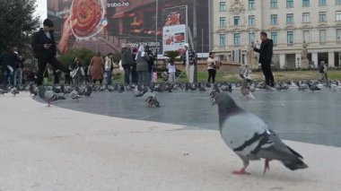 Barselona, Katalonya - İspanya - 01-08-2025: Placa de Catalunya 'da insanlar, heykeller ve tarihi binalarla birlikte bulutlu bir gökyüzü altında yürüyen güvercinlerin düşük açılı görüntüsü.