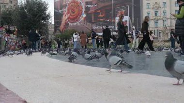 Barselona, Katalonya - İspanya - 01-08-2025: Placa de Catalunya 'da insanlar, heykeller ve tarihi binalarla birlikte bulutlu bir gökyüzü altında yürüyen güvercinlerin düşük açılı görüntüsü.
