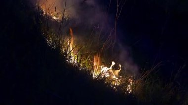 Büyüyen bir ateş, parlak alevlerle ve yükselen dumanla gece kuru çimenlerin arasında yayılır..