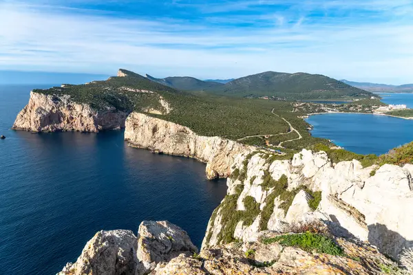 Alghero - Sardinien - Italien - 02-16-2025: Sardinya 'da mavi bir gökyüzünün altına uzanan ormanlık bir plato ve dolambaçlı bir yol ile denizin üzerindeki kayalıklar.