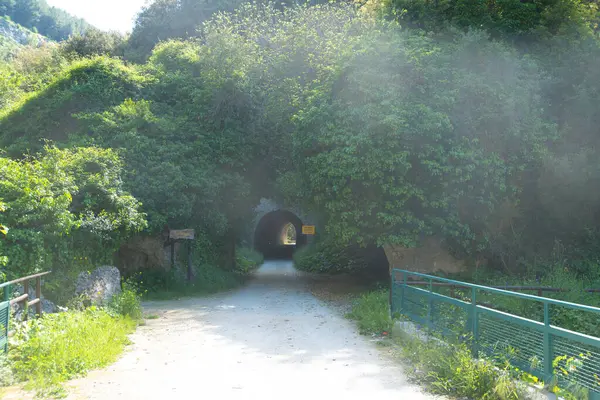 Pantalica, Sizilien - İtalya - 04-11-2025: Yoğun biçimde yeşillikle kaplı bir tepe boyunca uzanan tünel, Pantalica girişi boyunca görünen bir çit ve işaret direkleriyle yol gösteriyor.