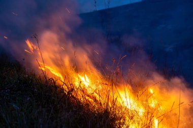 Parlak alevler, gece gökyüzüne yükselen yoğun dumanla kuru otları yutar. Karanlık çevreye karşı yoğun ve dramatik bir kontrastlık yaratır..