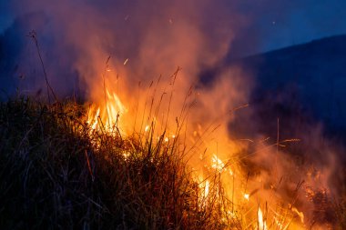 Parlak alevler, gece gökyüzüne yükselen yoğun dumanla kuru otları yutar. Karanlık çevreye karşı yoğun ve dramatik bir kontrastlık yaratır..