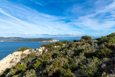 Sardunya 'nın arka planında görünen sakin denizi, beyaz kayalıkları ve uzak tepeleri olan canlı mavi gökyüzü altındaki Rocky kıyı bitkileri..