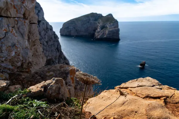 Öndeki kayalık bir tepede kurumuş bir çiçek, uzak bir deniz manzarası ve parçalı bulutlu bir gökyüzünün altında büyük bir kaya adası..