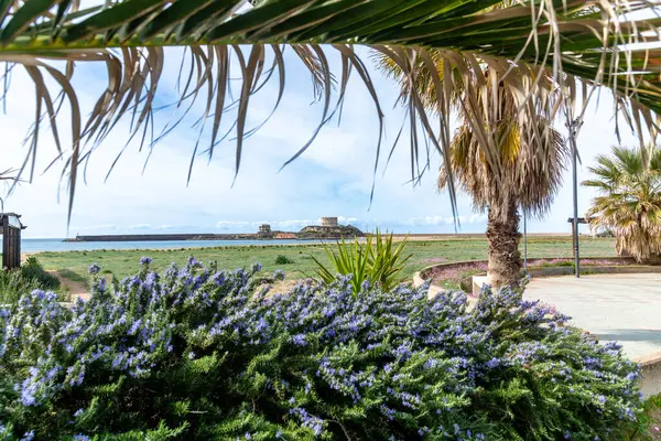 Çiçekli çalılar, palmiyeler ve parlak bir gökyüzünün altında asılı palmiye yapraklarıyla çerçevelenmiş küçük taş bir kaleye sahip bir sahil adası manzarası..