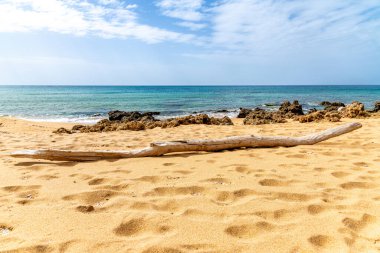 Sardunya 'nın Portu Maga yakınlarındaki kumlu sahilde kayalık kıyı şeridi, turkuaz deniz, hafif dalgalar ve mavi gökyüzü bulunan bir ağaç parçası uzanır..