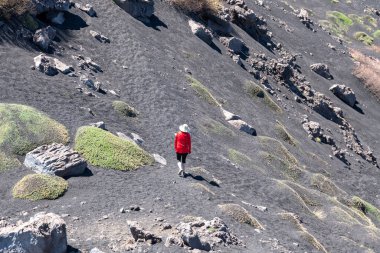Linguaglossa, Sizilien - İtalya - 05-01-2025: Kırmızı tişörtlü kişi Sicilya 'nın Etna Dağı' ndaki siyah volkanik küllerin üzerinde yürüyor, yeşil yosun yastıkları ve kayaların yanından geçiyor.