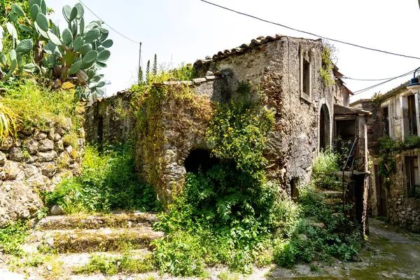 Graniti, Sizilien - İtalya - 05-05-2025: Sarı çiçekler ve kaktüs bitkileri de dahil olmak üzere bitki örtüsüyle kaplanmış terk edilmiş taş binalar, yosunlu bir merdiven ve patikayı çevreledi.