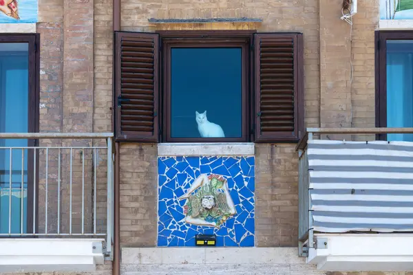 Syrakus, Sizilien - İtalya - 04-09-2025: Syracuse 'da cam ön cephe arkasındaki beyaz kedi, mozaik sanat eserleri, kepenkler, metal balkon korkulukları ve çizgili kumaş.