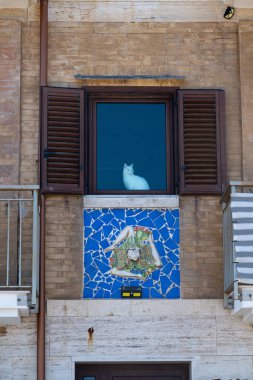 Syrakus, Sizilien - İtalya - 04-09-2025: Syracuse 'da cam ön cephe arkasındaki beyaz kedi, mozaik sanat eserleri, kepenkler, metal balkon korkulukları ve çizgili kumaş.