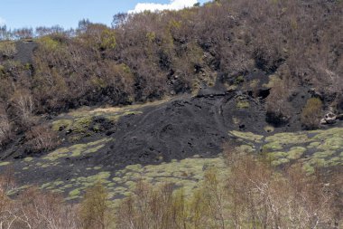 Etna Dağı 'ndaki koyu lav yamacı, gün ışığında Sicilya, İtalya' da açık mavi bir gökyüzünün altında yeşil bitki örtüsü ve seyrek ağaçlarla kaplıydı..
