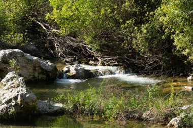 Pantalica Vadisi 'nin gölgeli bir bölgesinde yoğun bitki örtüsüyle çevrili kaya ve dalların üzerinden açık bir dere akıyor..