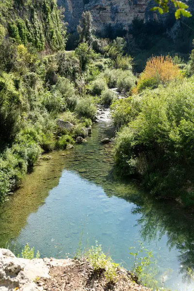 Sığ, berrak akarsu, Pantalica 'daki yoğun yeşil bitki örtüsü ve kayalık arazide görünür taşlar ve sudaki yansımalarla akıyor..