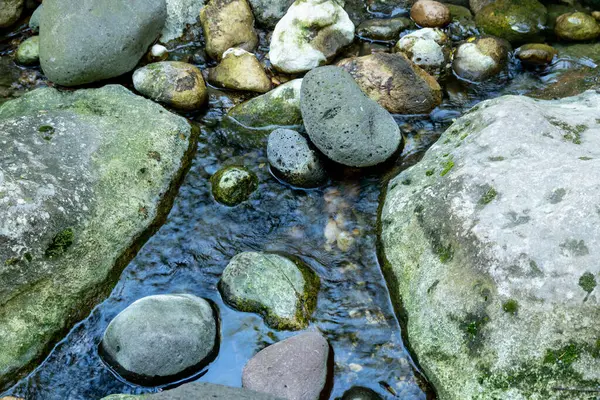 Pantalica vadisindeki yosun kaplı kayaların üzerinden sığ bir dere akar ve yuvarlak kayalar arasında yansımalar ve hafif dalgalanmalar yaratır..