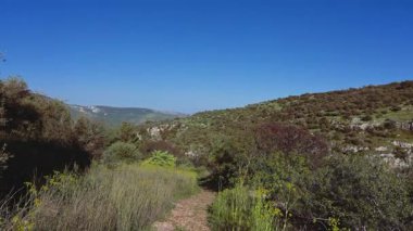 Geniş, bulutsuz mavi gökyüzü altında kayalık yeşil tepelerle çevrili uzun çimenler ve kuru çalılar arasında dar bir toprak yol esiyor..