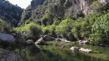 Küçük çağlayan taşlı dere, yoğun yeşillik ve kayalıklarla çevrili sarp bir vadiden akar ve yukarıdaki güneşli bitki örtüsünü yansıtır..
