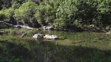 Küçük çağlayan taşlı dere, yoğun yeşillik ve kayalıklarla çevrili sarp bir vadiden akar ve yukarıdaki güneşli bitki örtüsünü yansıtır..