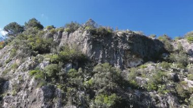 Kaktüsler, çalılar ve ağaçlar da dahil olmak üzere yoğun bitki örtüsüyle kayalık yamaçlarda, berrak bir gökyüzünün altında sığ yeşil bir dere üzerinde yükseliyor..