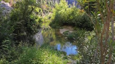Yoğun yeşil bitki örtüsü, çakıl ve kayalık kayalıklarla çevrili, güçlü yansımaları olan yavaş akan bir dere, güneşli bir geçitten akar..