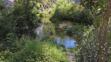 Yoğun yeşil bitki örtüsü, çakıl ve kayalık kayalıklarla çevrili, güçlü yansımaları olan yavaş akan bir dere, güneşli bir geçitten akar..